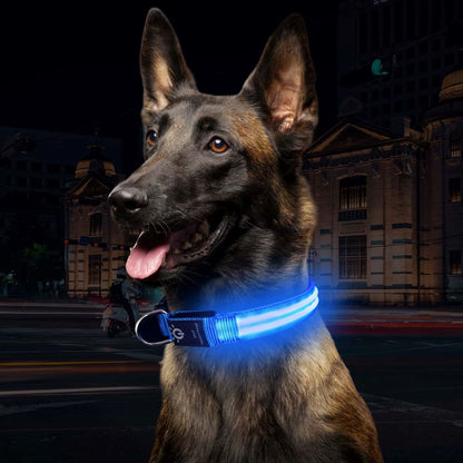 Collier Chien - LEDCollarDog™ - Bleu - Le Bazar de Mélichien
