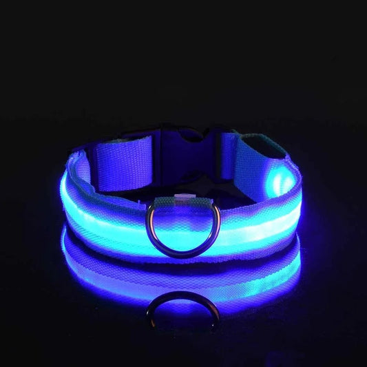 Collier Chien - LEDCollarDog™ - Bleu - Le Bazar de Mélichien