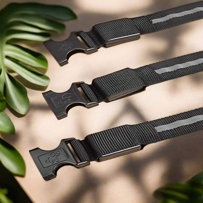 Collier Chien - LEDCollarDog™ - Noir - Le Bazar de Mélichien
