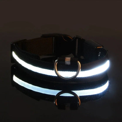 Collier Chien - LEDCollarDog™ - Noir - Le Bazar de Mélichien