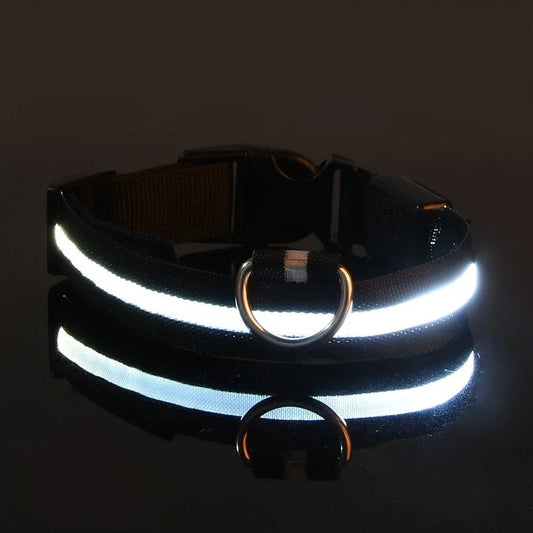 Collier Chien - LEDCollarDog™ - Noir - Le Bazar de Mélichien