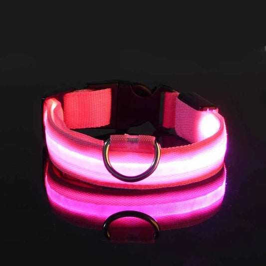 Collier Chien - LEDCollarDog™ - Rose - Le Bazar de Mélichien