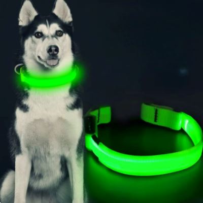 Collier Chien - LEDCollarDog™ - Vert - Le Bazar de Mélichien