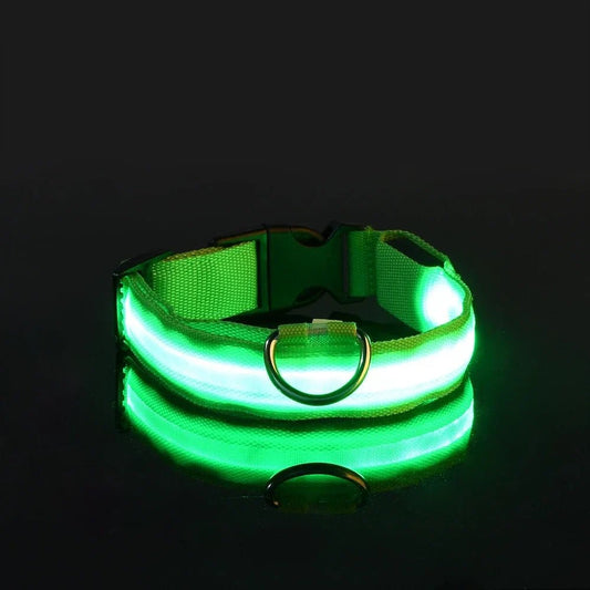 Collier Chien - LEDCollarDog™ - Vert - Le Bazar de Mélichien