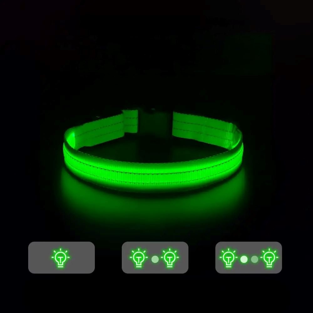 Collier Chien - LEDCollarDog™ - Vert - Le Bazar de Mélichien