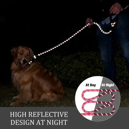 Laisse robuste pour chien - Robustilaisse - Le Bazar de Mélichien