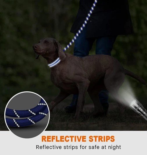Laisse robuste pour chien - Robustilaisse - Le Bazar de Mélichien