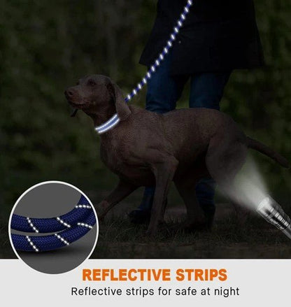 Laisse robuste pour chien - Robustilaisse - Le Bazar de Mélichien