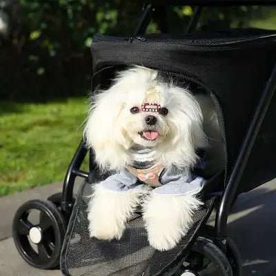 Poussette pour Chien - PetStroller™ - Noir - Le Bazar de Mélichien