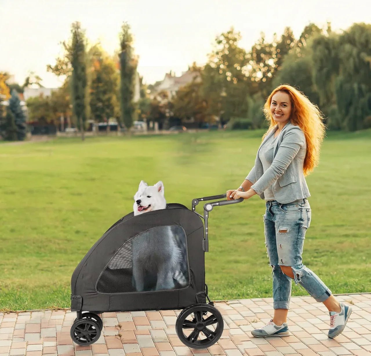 Poussette pour Chien - StrollyPet™ - Noir - Le Bazar de Mélichien