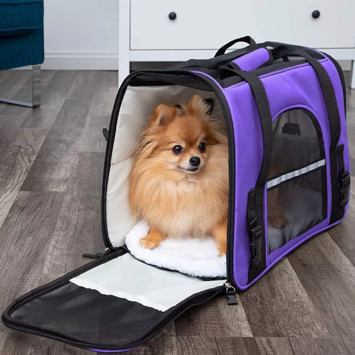 Sac de Transport pour Chien - DogCarrierBag™ - Violet - Le Bazar de Mélichien